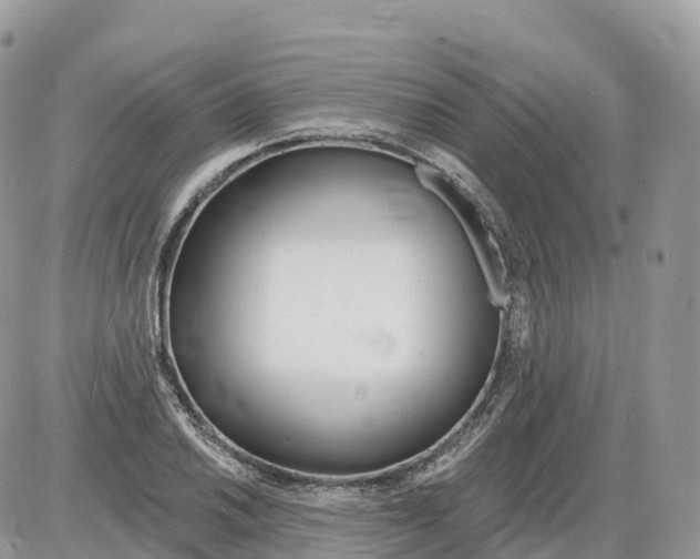 X0000086071030200704202121