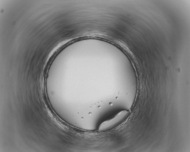 X0000086071032200704202121