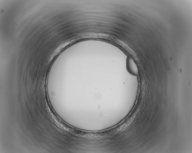 X0000086071033200704202121