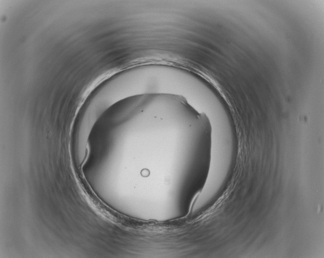 X0000086071034200704202121