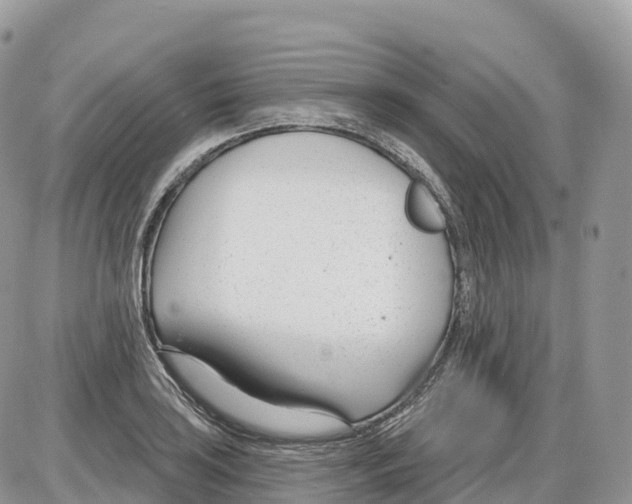 X0000086071035200704202121