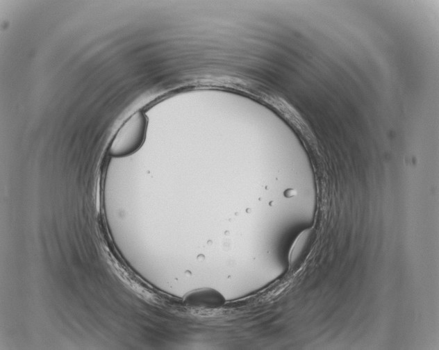 X0000086071036200704202121