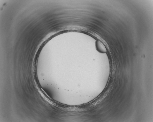 X0000086071037200704202121