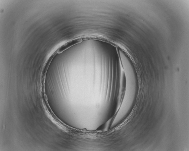 X0000086071038200704202121