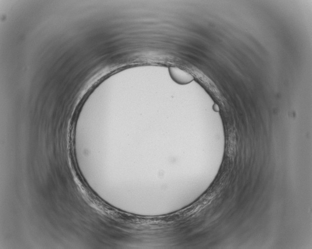 X0000086071039200704202121