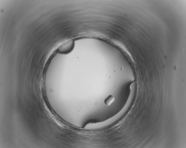 X0000086071040200704202121