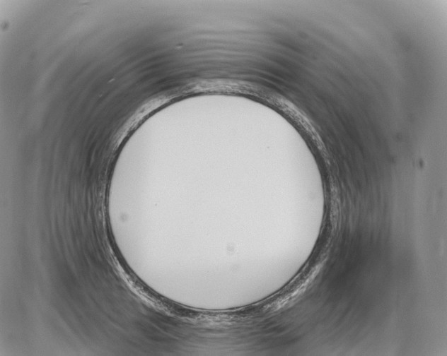 X0000086071041200704202121