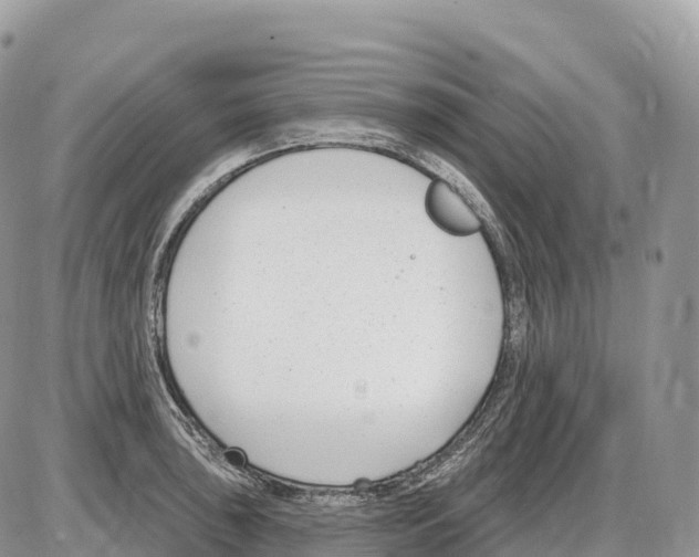 X0000086071043200704202121