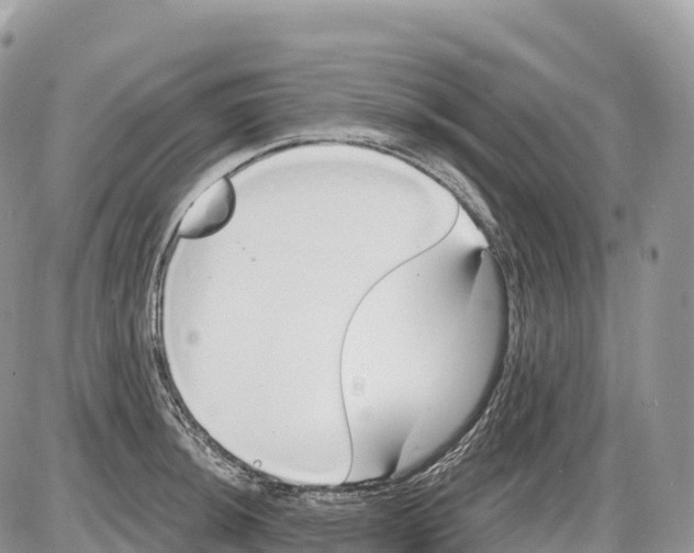 X0000086071044200704202121