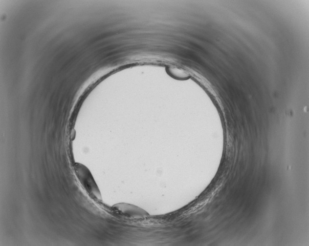 X0000086071045200704202121