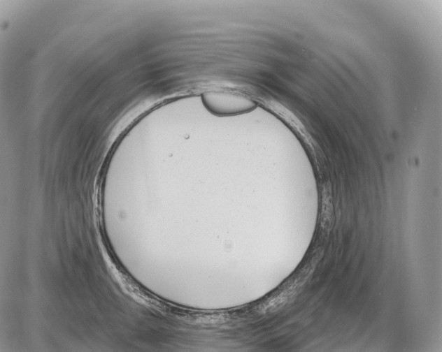 X0000086071047200704202121