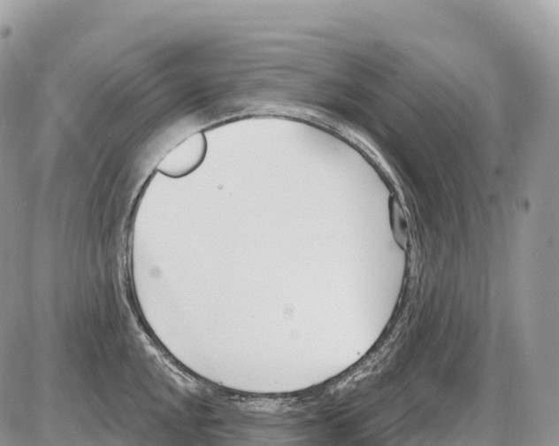 X0000086071048200704202121