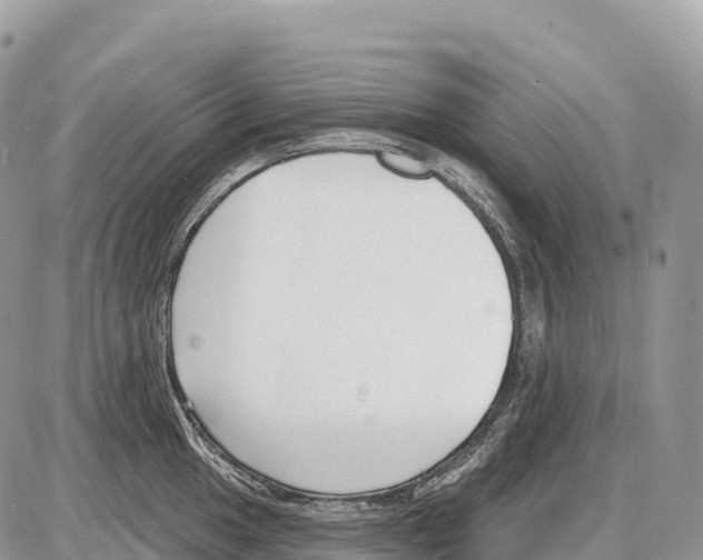 X0000086071049200704202121