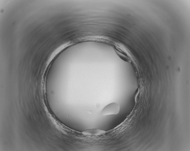 X0000086071050200704202121