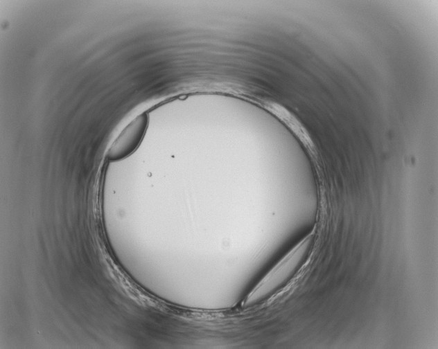 X0000086071052200704202121