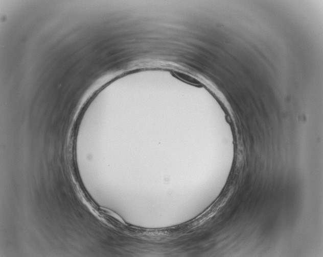 X0000086071053200704202121