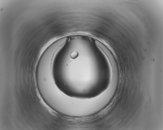 X0000086071054200704202121