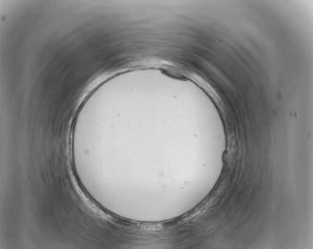 X0000086071055200704202121