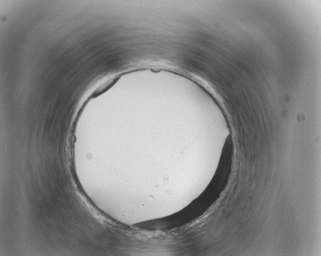 X0000086071056200704202121