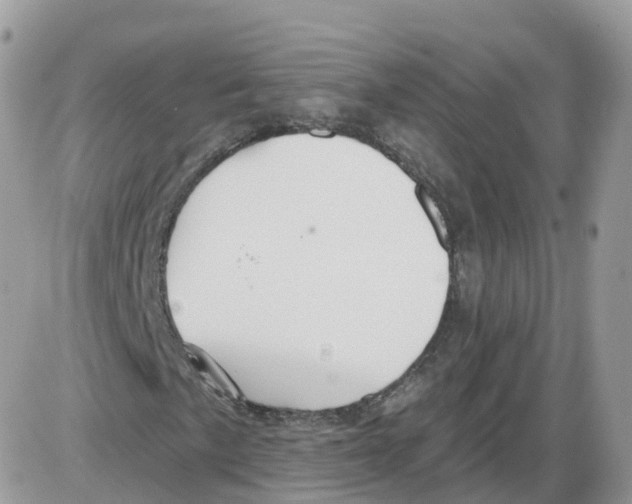 X0000086071057200704202121