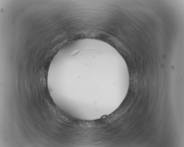 X0000086071058200704202121