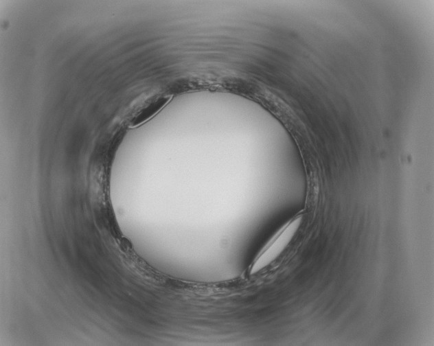 X0000086071060200704202121