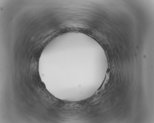 X0000086071061200704202121