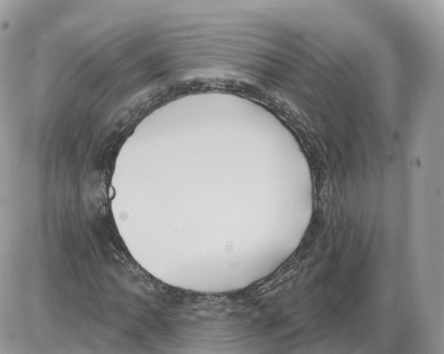 X0000086071062200704202121