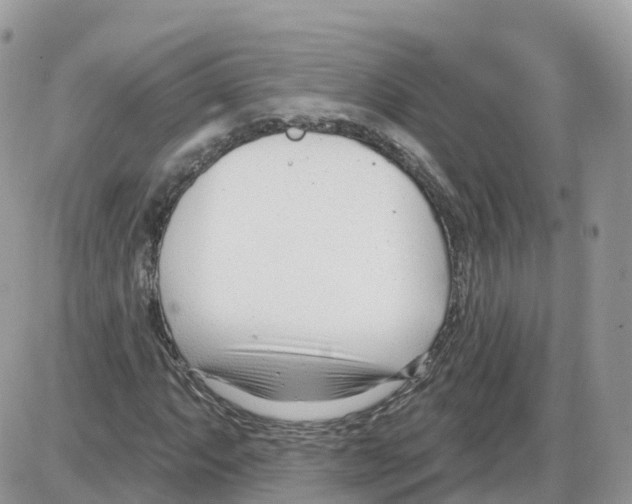 X0000086071063200704202121