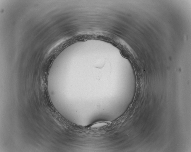 X0000086071064200704202120