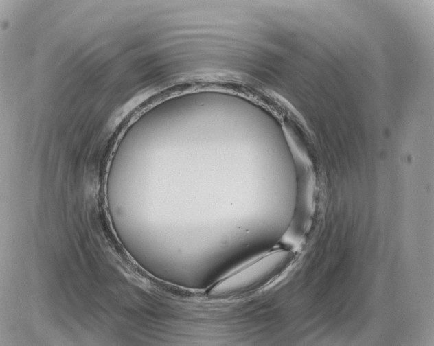 X0000086071065200704202120