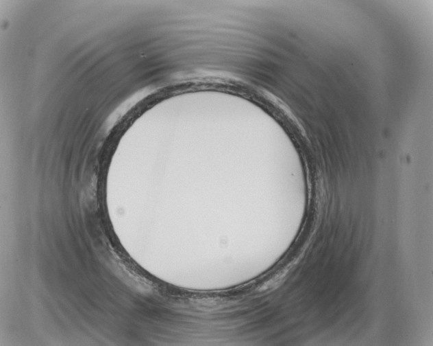 X0000086071066200704202120