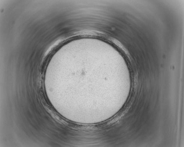 X0000086071067200704202120