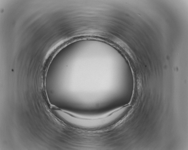 X0000086071069200704202120