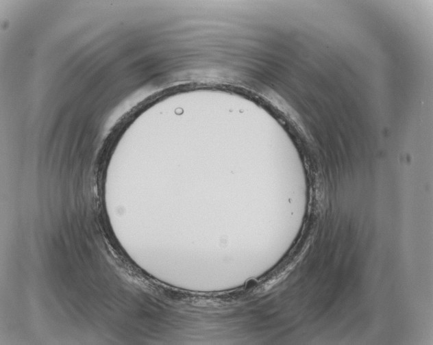 X0000086071070200704202120