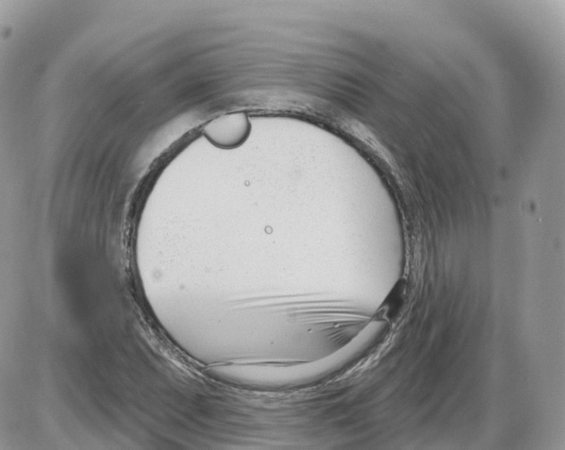 X0000086071071200704202120