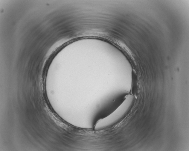 X0000086071072200704202120