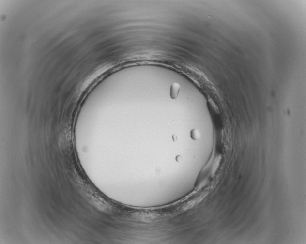 X0000086071073200704202120