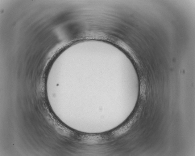 X0000086071074200704202120