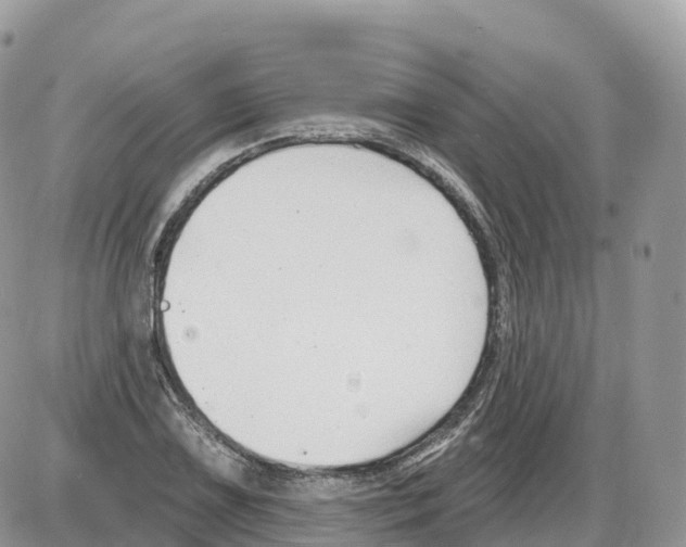 X0000086071075200704202120