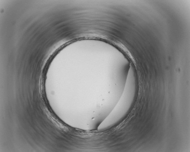 X0000086071076200704202120