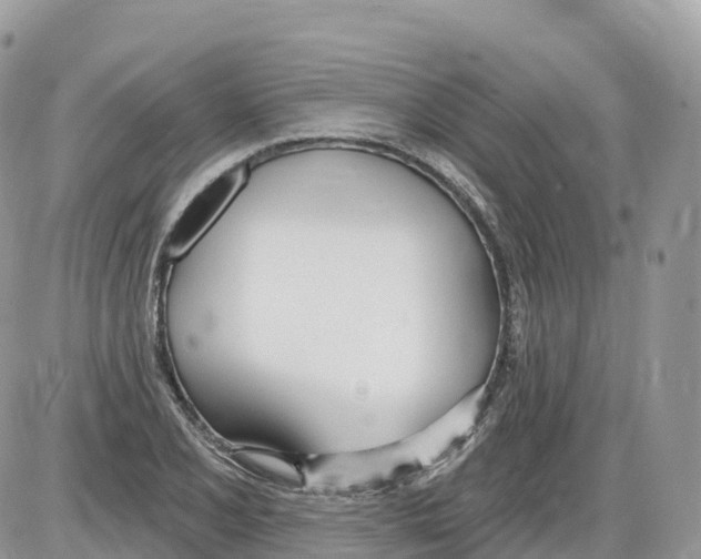 X0000086071077200704202120