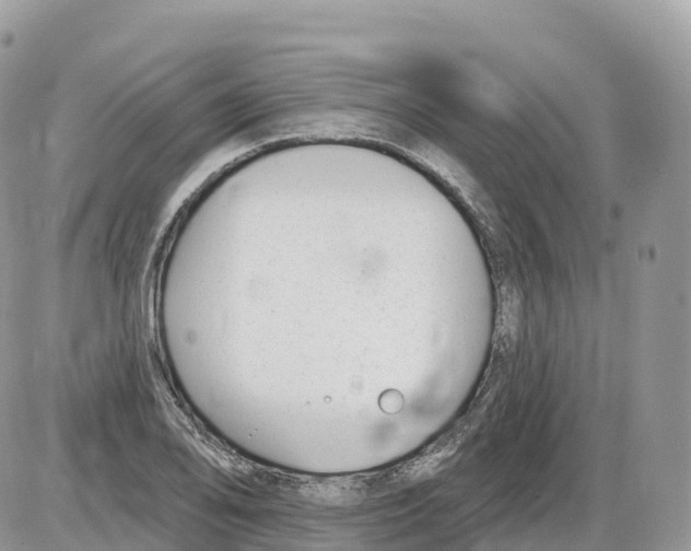 X0000086071078200704202120