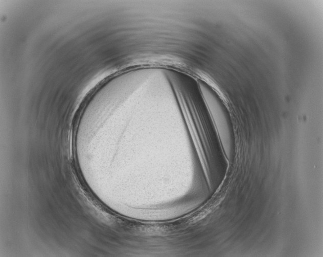 X0000086071079200704202120