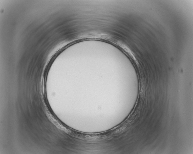 X0000086071080200704202120