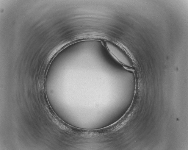 X0000086071081200704202120