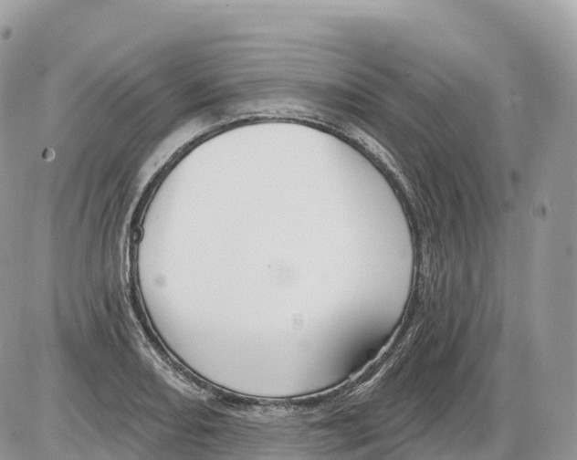 X0000086071082200704202120