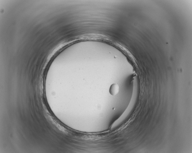 X0000086071083200704202120