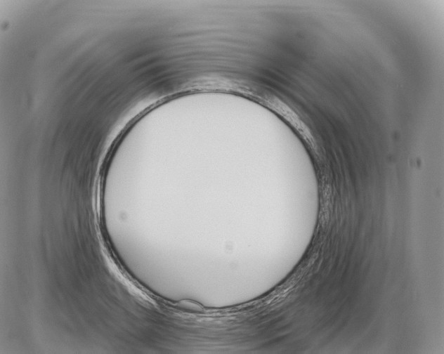 X0000086071084200704202120