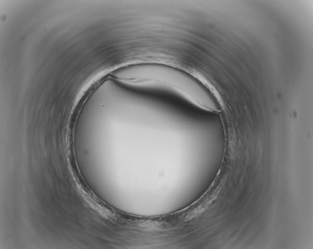 X0000086071085200704202120